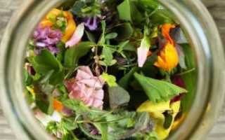 Как вылечить молочницу народными средствами у женщин: советы и рекомендации