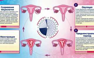 Месячные пошли на неделю раньше — это нормально или нет для здоровья женщин