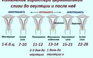 Какие в норме должны быть выделения после месячных, 8 вариантов нарушений и их причины