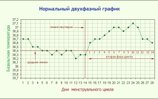 Как правильно измерять базальную температуру при овуляции?