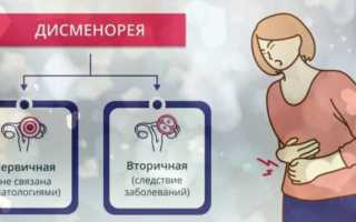 Почему не болят грудь и живот перед месячными, а раньше болели: причины и объяснения