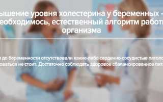 Нормы холестерина во время беременности и причины его высокого уровня в крови на поздних сроках
