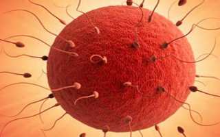 Опасно ли появление крови во время овуляции? Важные аспекты здоровья