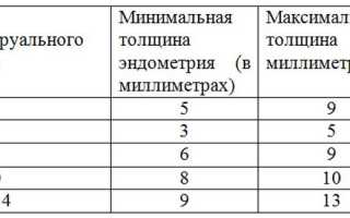 Как меняется толщина эндометрия в период женского цикла? Полное руководство