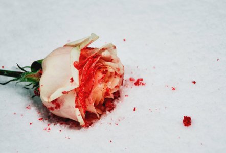 мазня месячные