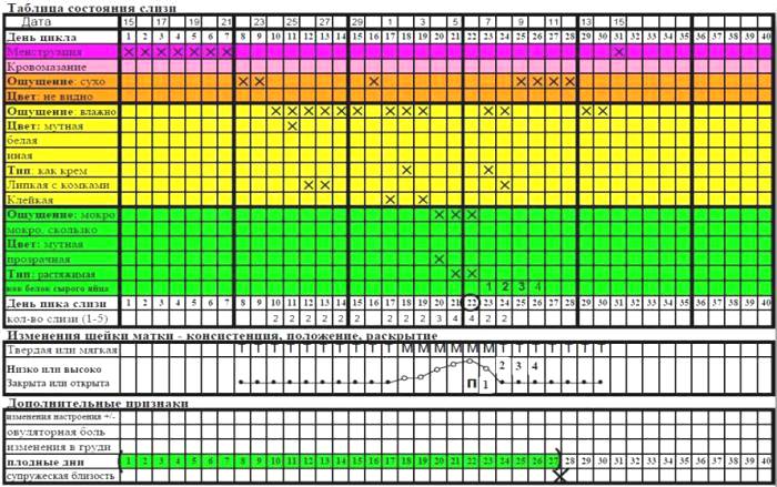 Женщинам нужна таблица менструации