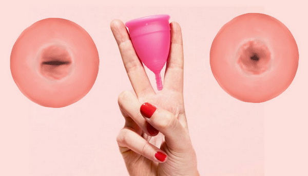 шейка матки и менструальная чаша