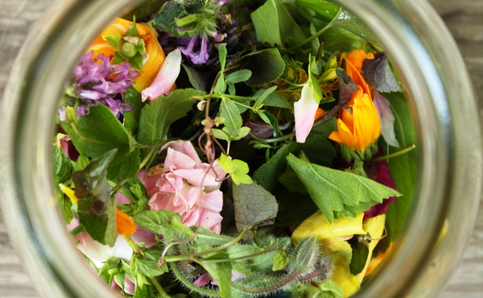 травяной сбор