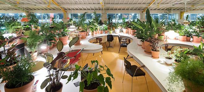 бизнес коворкинг