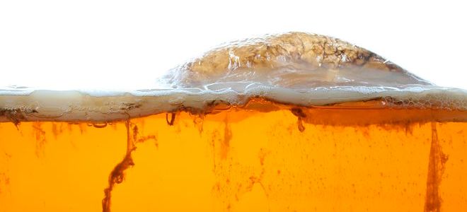 чем полезен чайный гриб1