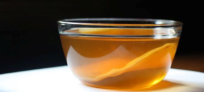 чем полезен чайный гриб3