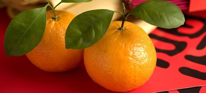 диета магги3