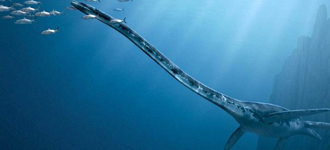 доказательства существования лохнесского чудовища