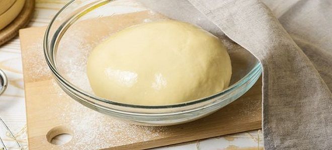 дрожжевое тесто для пиццы с маргарином дрожжевое тесто для пиццы с маргарином