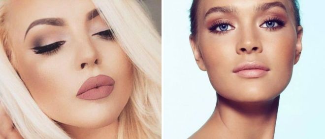 голуб голуб