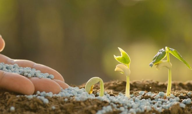 как выбрать полное комплексное удобрение как выбрать полное комплексное удобрение
