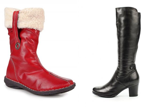 сапоги франческо донни сапоги франческо донни