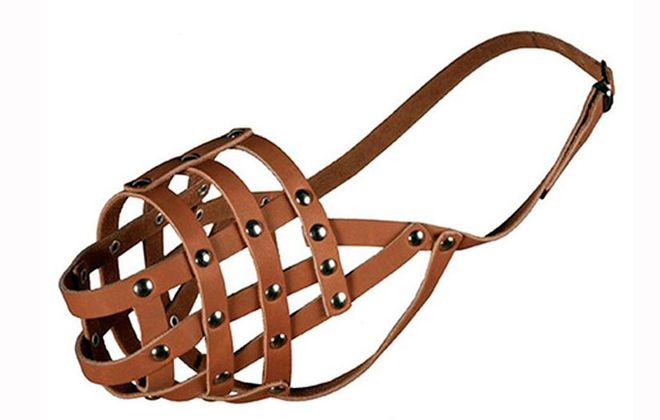 кожанный намордник кожанный намордник