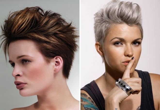 мини ирокез мини ирокез