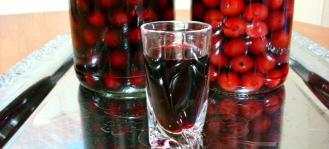 наливка из слив без алкоголя наливка из слив без алкоголя