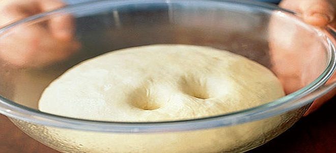 дрожжевое тесто для пиццы с майонезом дрожжевое тесто для пиццы с майонезом