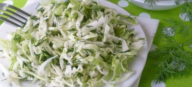 фото12 салат из капусты для похудения