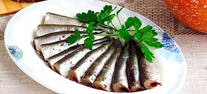 килька пряного посола килька пряного посола