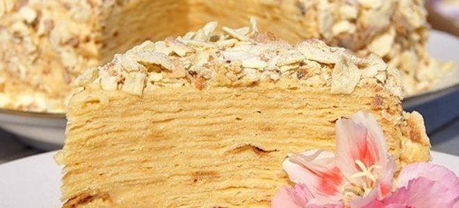 наполеон в духовке наполеон в духовке