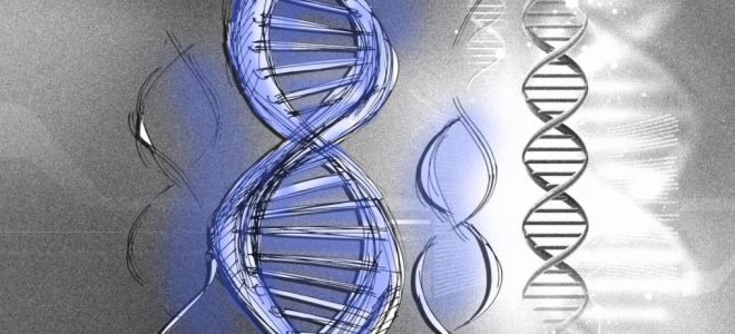 болезнь феллинга болезнь феллинга