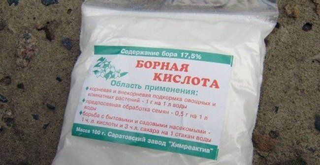 Борная кислота в саду и огороде Борная кислота в саду и огороде