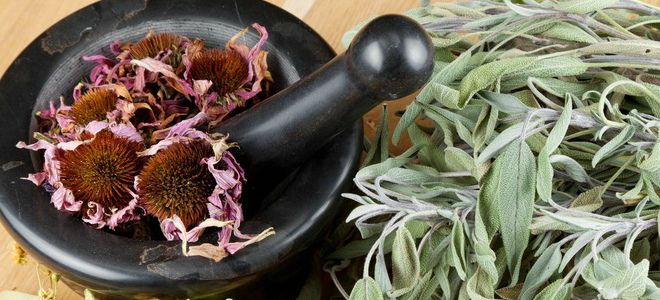 чем лечить витилиго в домашних условиях чем лечить витилиго в домашних условиях