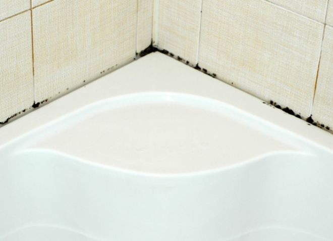 чем вреден грибок в ванной чем вреден грибок в ванной