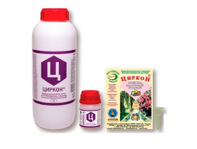 что такое циркон для растений что такое циркон для растений