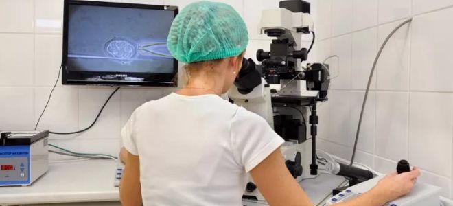 донорство ооцитов донорство ооцитов