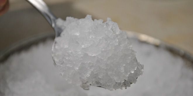 индийский морской рис что это индийский морской рис что это