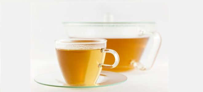 Кора осины при диабете 2 типа Кора осины при диабете 2 типа