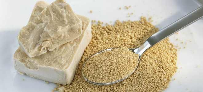 Маска с дрожжами для жирных волос Маска с дрожжами для жирных волос