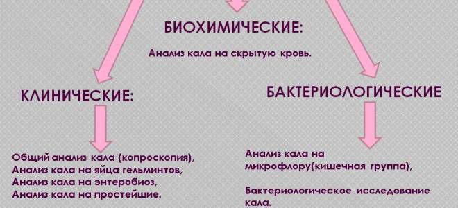 методы исследования кала методы исследования кала
