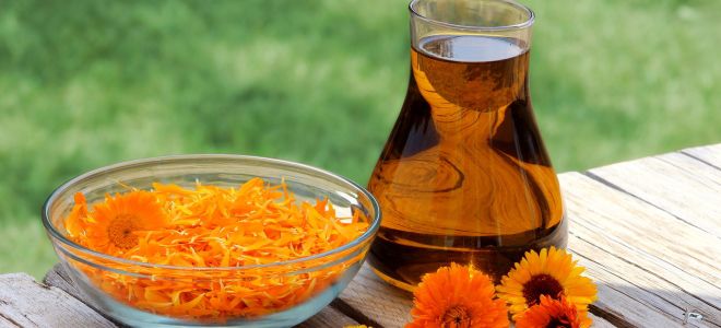 настойка календулы применение настойка календулы применение