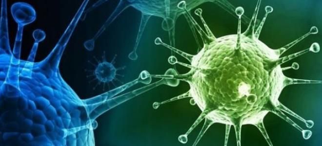 от чего помогает гриппферон от чего помогает гриппферон