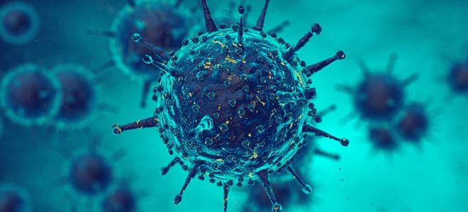 папилломавирус у женщин причины возникновения папилломавирус у женщин причины возникновения