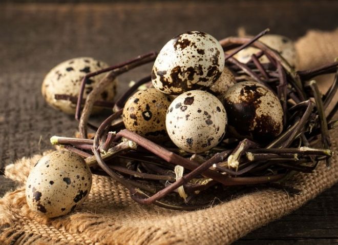 перепелиные яйца польза и вред для женщин перепелиные яйца польза и вред для женщин