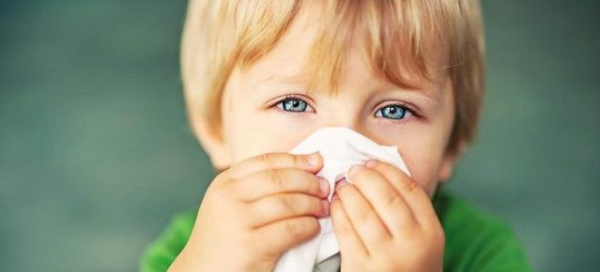 почему сопли зеленые почему сопли зеленые