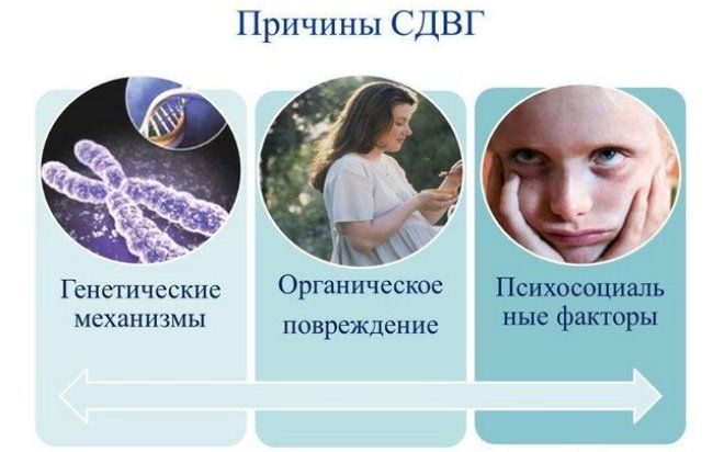 причины сдвг причины сдвг