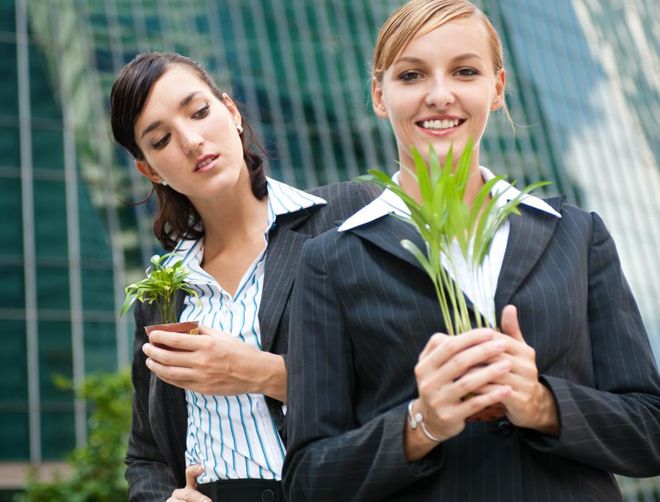 признаки зависти признаки зависти