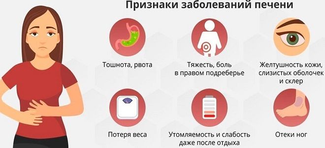 фото1 стадии цирроза печени