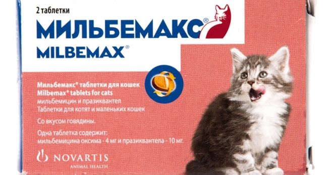 Таблетки от глистов для котят Мильбемакс Таблетки от глистов для котят Мильбемакс