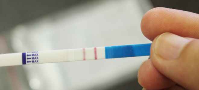 Тест полоски на беременность Тест полоски на беременность