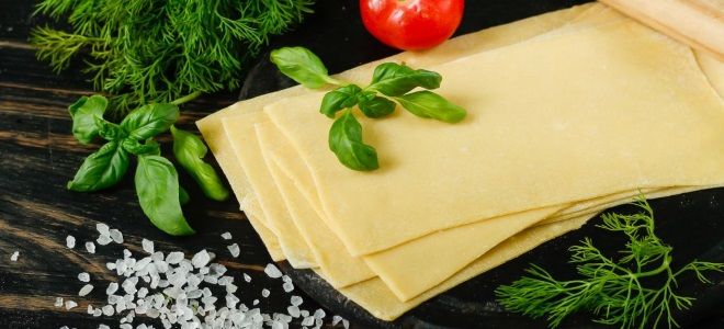 тесто для лазаньи в домашних условиях тесто для лазаньи в домашних условиях