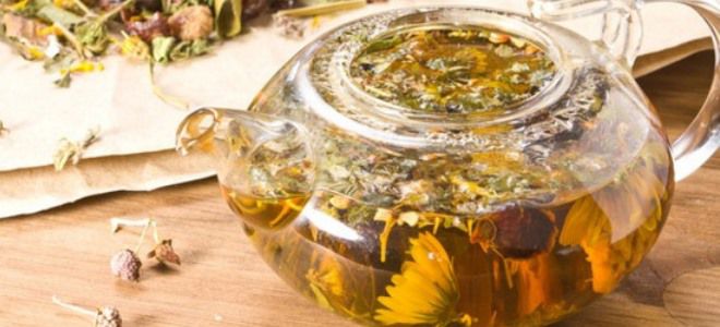 травы для очищения организма травы для очищения организма